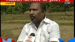 Ratnagiri : Loss Of Rice Crops