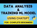 Analyzing data with CHATGPT | EDA | Crash Course (Training Machine Learning Model)