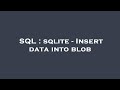 SQL : sqlite - Insert data into blob