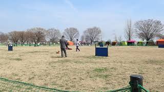 東京ブロック訓練競技会