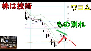 株は技術　もの別れから空売りで下落を狙う　ショットガン投資法　ワコム　〔第1084回〕