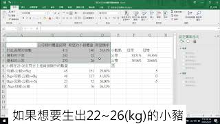 養豬場mix 公母豬\