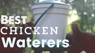 Chicken Waterers - What kinds to use where, and my favorite models