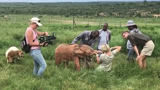 The Elephant Filmmaker — Meet Hermien #WomensDay