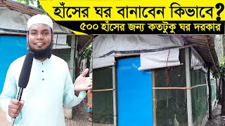 হাঁসের ঘর বানাবেন কিভাবে । ৫০০ হাঁসের জন্য কতটুকু ঘর বানাবেন । মাসলেভি হাঁসের খামার