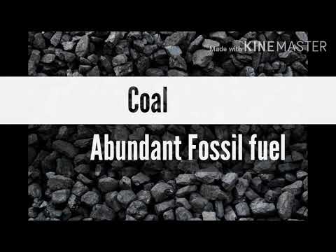 Which fossil fuel is known as buried sunshine and why?