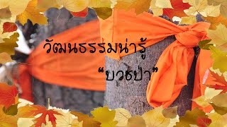 AMINO-วัฒนธรรมน่ารู้ EP.1 บวชป่า