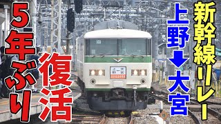 【新幹線リレー号】5年ぶりに復活した激レア列車を撮りまくる！！！！