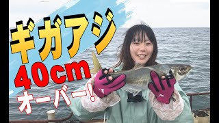 【千葉】サビキ釣りで奇跡がおきた！４０センチオーバーのギガアジが釣れました！【南房総】