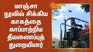 மாஞ்சா நூலில் சிக்கிய காகத்தை காப்பாற்றிய தீயணைப்புத்துறையினர்| Crow | Nylon Thread