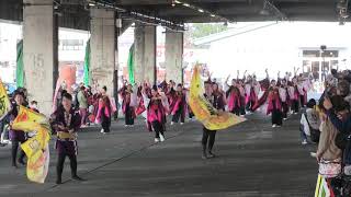 第一回よさこい東海道沼津祭り(2019/11/9)「鳴子艶舞会」