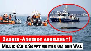 MediaMarkt-Gründer Walter Gunz kämpft weiter um Rettung des Wals vor Wismar