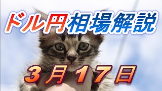 【TAKA FX】ドル円為替相場の前日の動きをチャートから解説。日経平均、NYダウ、金チャートも。3月17日