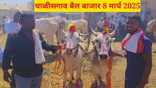 चाळीसगाव बैल बाजार live 🔴 8 मार्च 2025 || शब्बीर शेठ यांच्या दावणीतील लाईव्ह सौदेबाजी