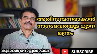 അതിസമ്പന്നരാകാൻ നാഗദേവതയുട ധ്യാന മന്ത്രം || DR K V SUBHASH THANTRI | PRANAVAM |