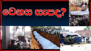 Wenasa sapada? | වෙනස සැපද? (SUDDA)