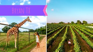 Things to do in Bryan TX: Texas Travel Series