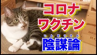 新型コロナワクチン陰謀論【質疑応答】【メンタリストDaiGoまとめ切り抜き】