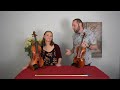 review of the vitacek virtuoso violin