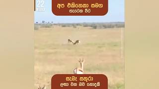 වසර 71ක් පුරාවට අප රටට සිදුවී ඇත්තේ මෙයම නොවේද? | Rohan pallewatta