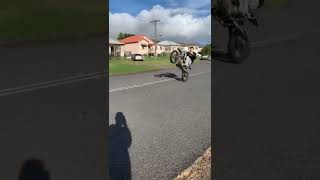 pit bike wheelie