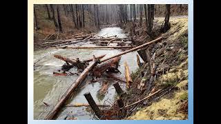 Gate Creek Instream Restoration Project - Bankfull Discharge 12/28/22