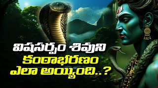 ఒక విషసర్పం శివుని కంఠాభరణంగా ఎలా మారింది..? | ATV DEVOTIONAL #lordsiva #vasuki #hindu #devotional