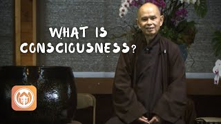 What is consciousness? | Thich Nhat Hanh