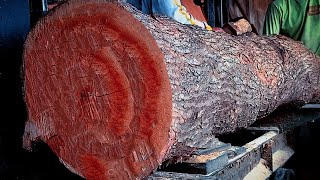 Amazing Wood Processing & Sawmill Equipment