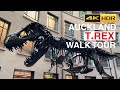 Peter the T.rex Auckland Museum New Zealand Walking Tour 4K