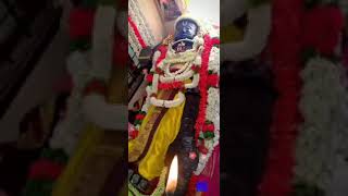 வந்தார் அத்தி வரதர் பெருமாள் , காஞ்சிபுரம் - Athi Varathar Kanchipuram