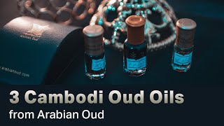 Dehn al Oud Syofi vs Aged Royal Cambodi vs Super Cambodi from Arabian Oud