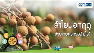 เทคโนโลยีเพื่อผลิตลำไยนอกฤดู