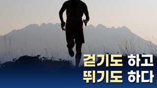 [메시지:ON] 걷기도 하고 뛰기도 하다 I 이규현 담임목사