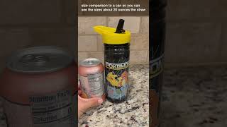 Pokemon Pikachu Plastic Drinking BPA Free Water Bottle with Leakproof Lid REVIEW