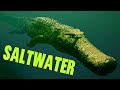 The POWER of Saltwater Deinosuchus!!