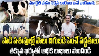 నా డైరీ ఫామ్ సక్సెస్ ఇదే| Dairy Farming | Cow Dairy Farm | Hf Cow | Jersey Dairy | Kiran TV Rythu