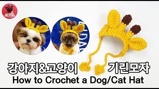 [써니의실노리]강아지,고양이 뜨개모자ㅣHow to Crochet a Dog/Cat Hat