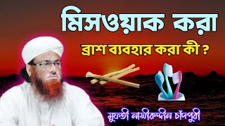 মিসওয়াক করার বিধান || Provision for miswak || nasiruddin chandpuri