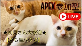 【Apex】エーペックス参加型配信。　カジュアル、ランクどちらでも※参加方法は概要欄確認してください※