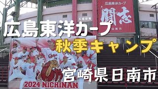 日南｜広島東洋カープ 秋季キャンプ 紅白戦 2024年11月11日｜天福球場｜宮崎県