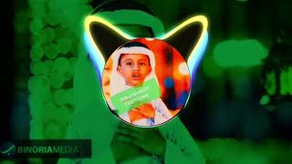 Mai Bhi Roze Rakhunga Tik Tok Remix Dj Rizwan Gwalior | Mai Bhai Roze Rakhunga Naat | New Naat Video