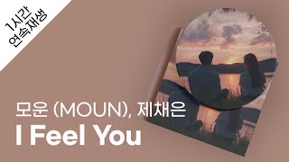 모운 (MOUN) - I Feel You (feat. 제채은) 1시간 연속 재생 / 가사 / Lyrics