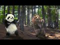 Animal Song (Jungle Dance) | With Panda, Dog, Cats, and a Bear 2026 | By Twiddlie
