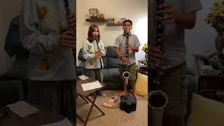 7 nation army with bass clarinet and clarinet