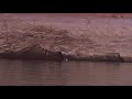 john batchelder lake powell butterfly swim