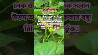 শুধু টাকা থাকার মানে রিজিক নয়, #motivation #ytshorts #viralvideo