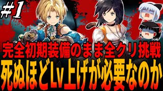 【FF9】魔法＆アビリティすら全て初期のモノしか使えない！初期装備のままで全クリに挑戦するもいくら攻撃しても100％永遠に倒せないボス戦に遭遇....！＃１/Garnet/ファイナルファンタジー