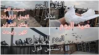 صيد اليوم 😘 حسبت التور الطواير النقص  باع اشكد نقص عدنه وشكم فحل زايد 😂😂😂😂