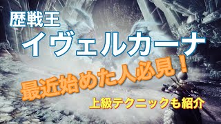 【MHW:IB】歴戦王イヴェルカーナ 実は闘いやすい？！モーション解説